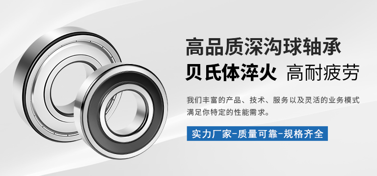 艾孚勒（大连）轴承制造有限公司